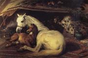 Sir Edwin Landseer The Arab Tent oil painting picture wholesale